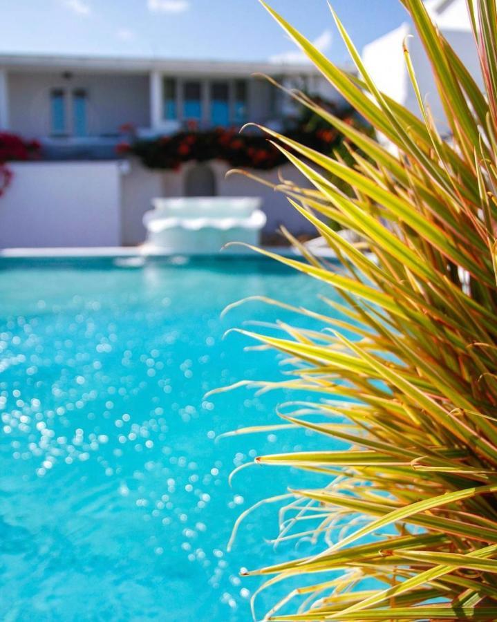 Dickenson Bay Trade Winds Hotel מראה חיצוני תמונה