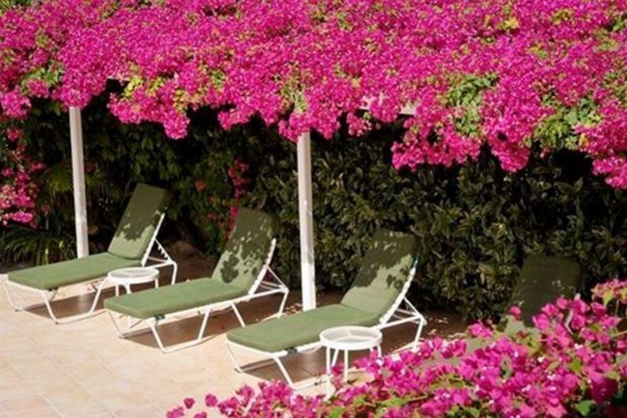 Dickenson Bay Trade Winds Hotel מראה חיצוני תמונה