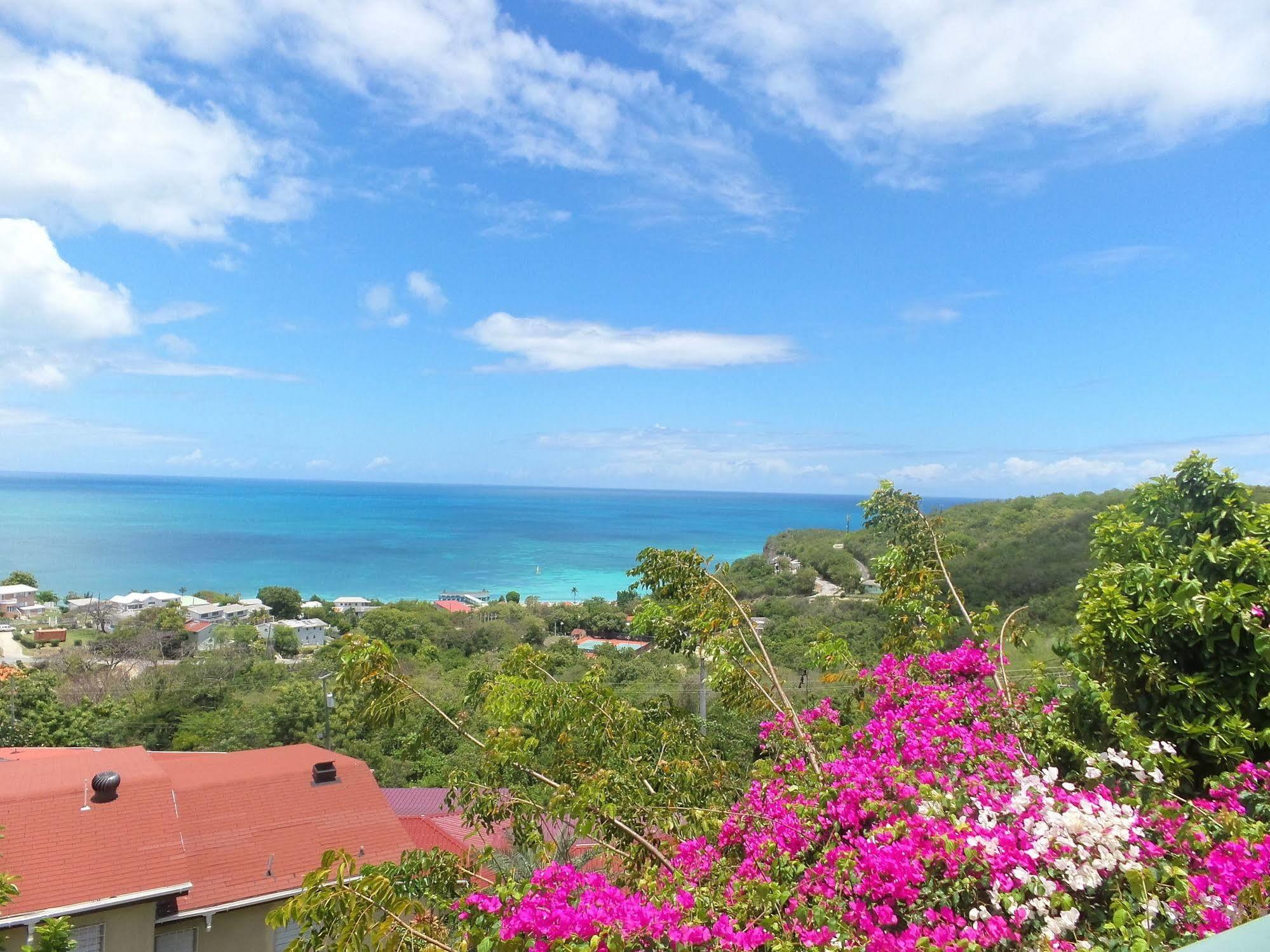 Dickenson Bay Trade Winds Hotel מראה חיצוני תמונה
